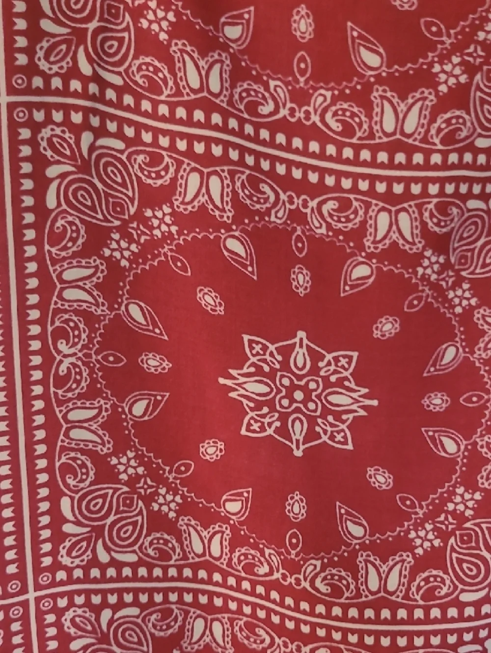 High-Rise Red Bandana-Print Maxi Skirt - Picture 4 of 5